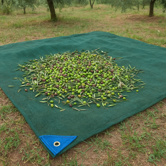 Rete telo per raccolta olive antispina 6x12 12x12 10x10 8x12 con spacco
