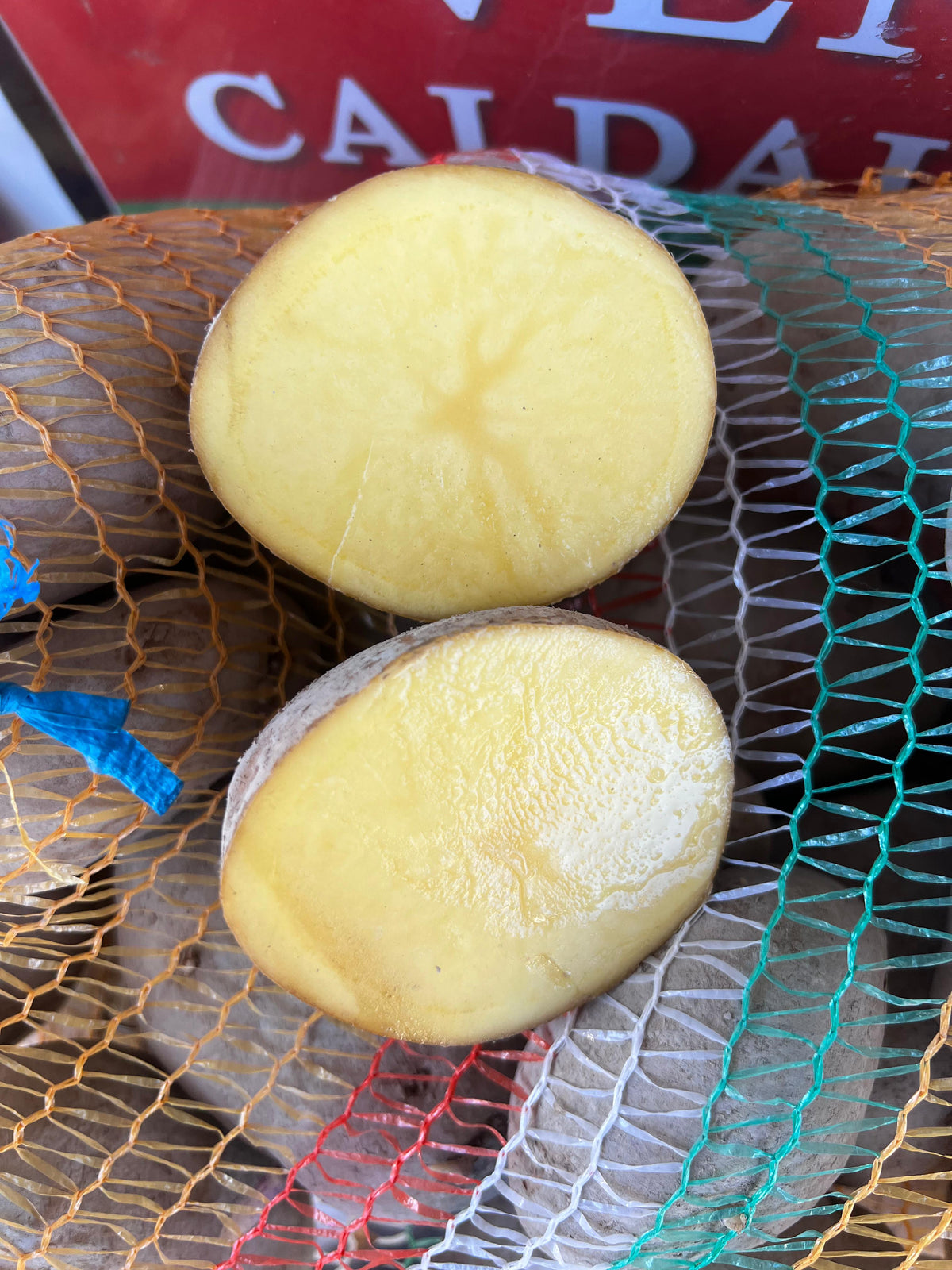 Patate Agria 5 kg a Pasta Gialla Origine Abruzzo San Benedetto dei Marsi