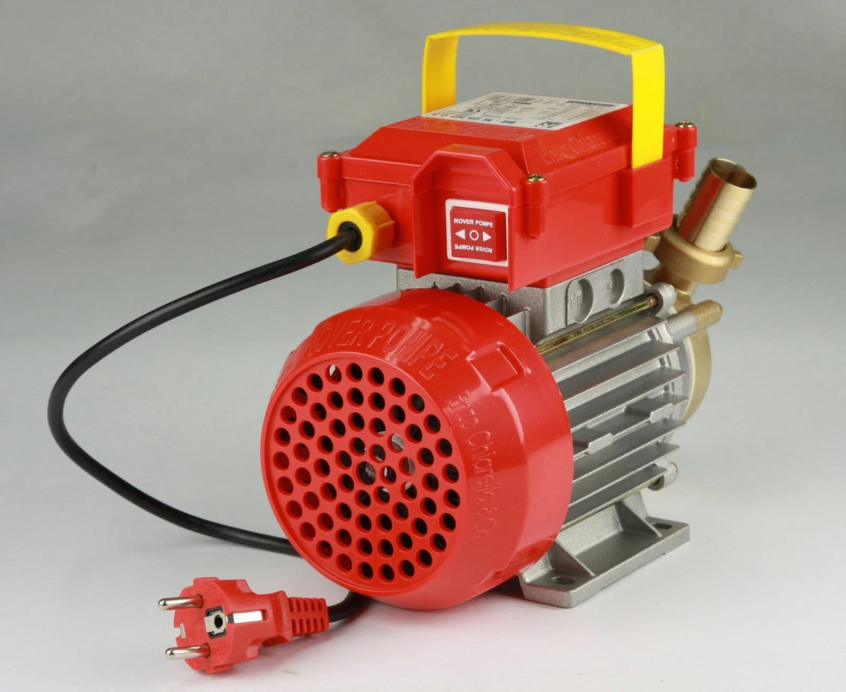 Elettropompa 1 Hp Autoadescante Travaso Pompa Elettrica Vino Acqua Bisenso Rover