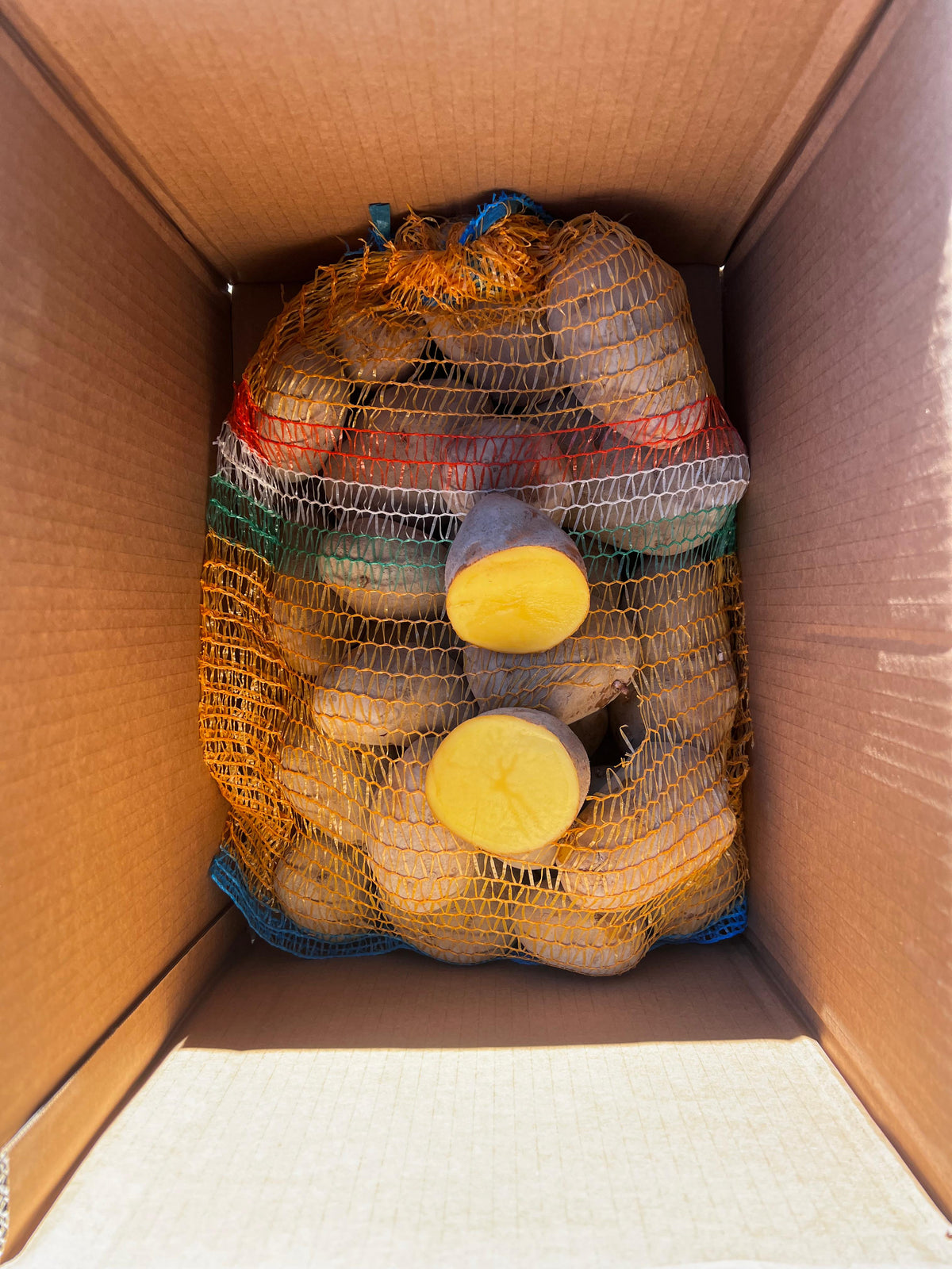 Patate Agria 5 kg a Pasta Gialla Origine Abruzzo San Benedetto dei Marsi