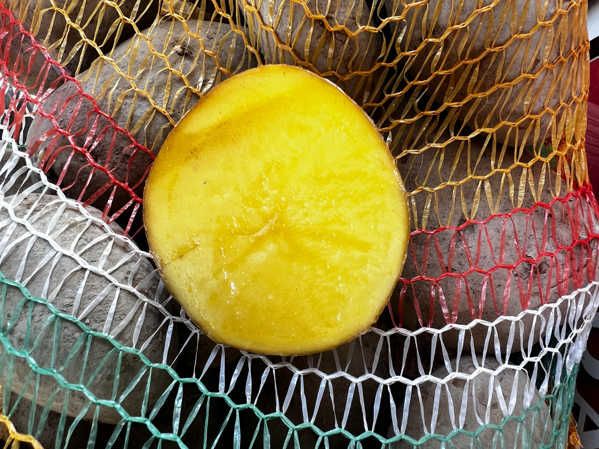 Patate Agria 5 kg a Pasta Gialla Origine Abruzzo San Benedetto dei Marsi