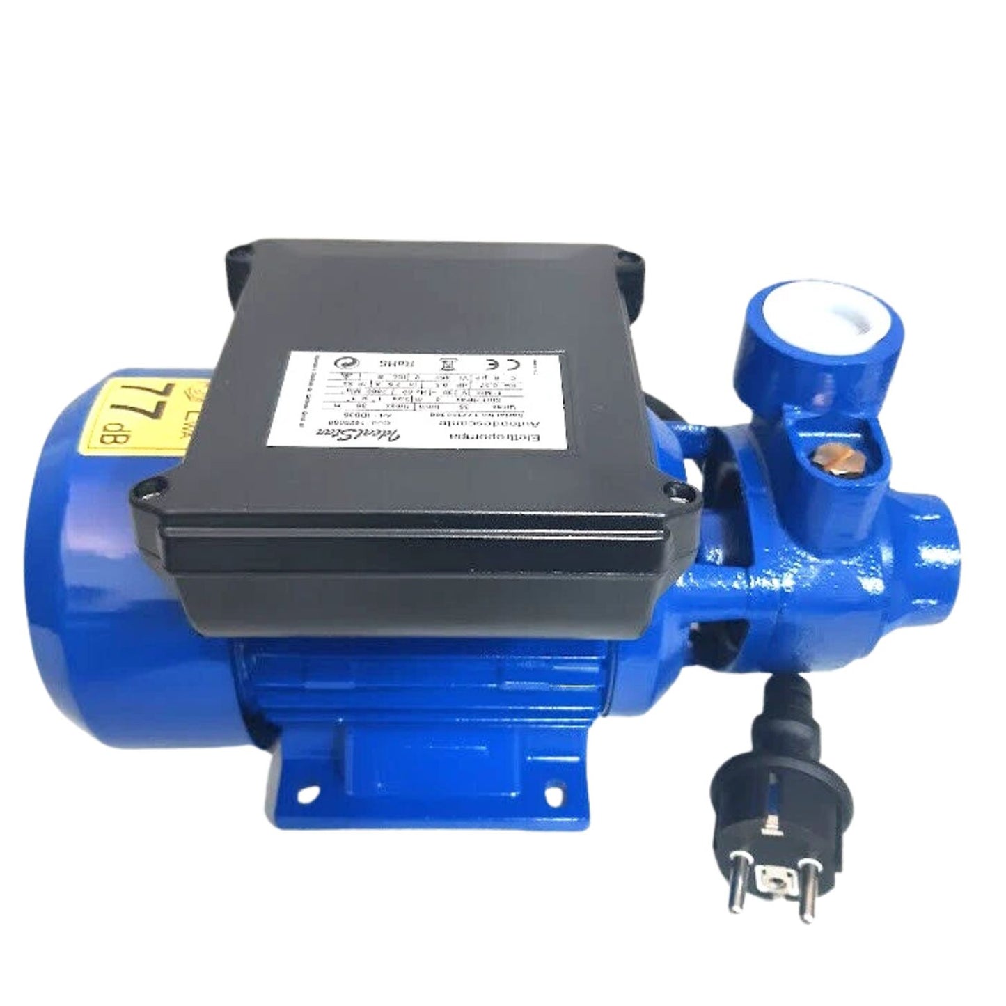 Elettropompa pompa autoclave periferica 0 5 hp per acqua irrigazione giardino